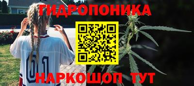 бошки Ливны