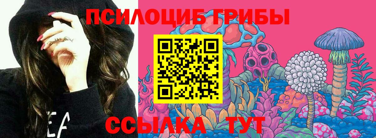 Зима  Галлюциногенные грибы мицелий  Вход с VPN 